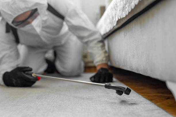 Professional Wasp Control technician working in North Lakeville, MA