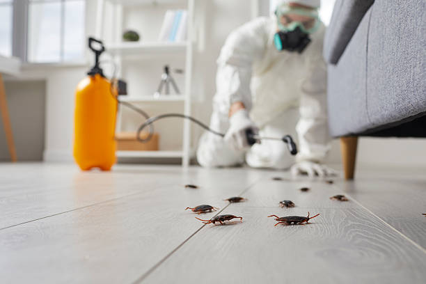 Trusted Cockroach Control service in North Lakeville, MA - Nex Pest Control