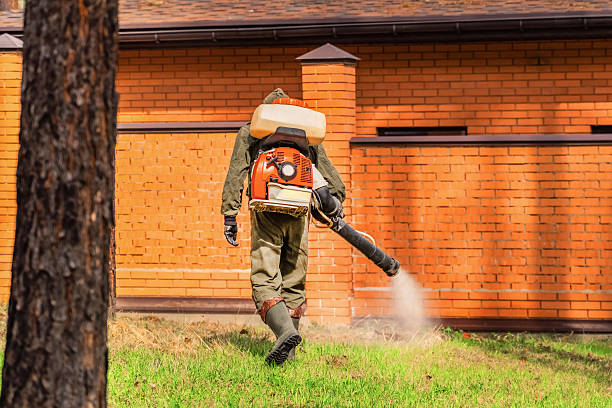 Trusted Termite Control service in North Lakeville, MA - Nex Pest Control